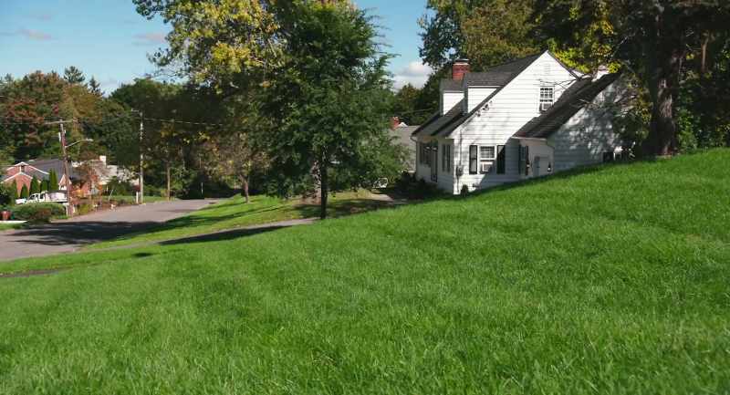 Everybody wants a magnificent green lawn