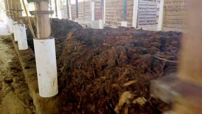 Everyone should know the importance of poop and its potential