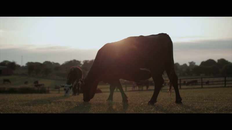 Everything that bothered me about the process of farming in the past