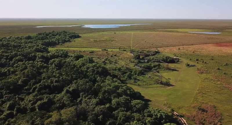 Everything changed when we went to Iberá