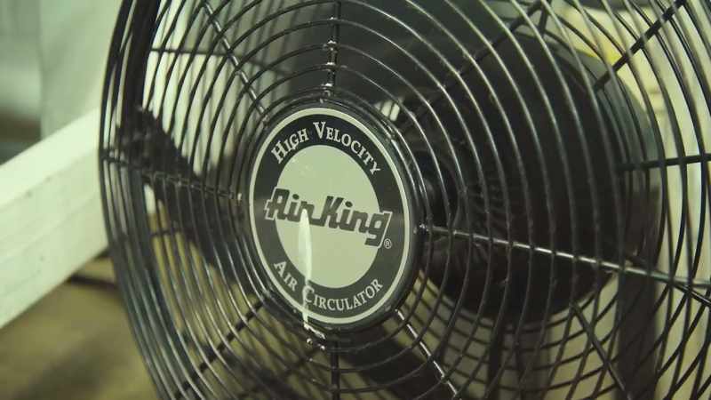 Everything is temperature, light regulated