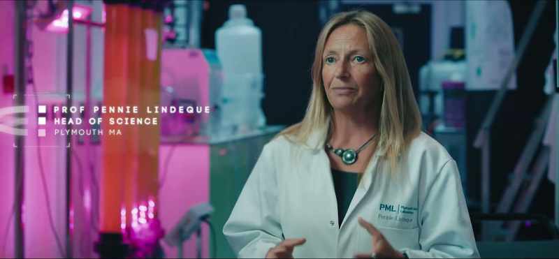 Everywhere we looked, we found microplastics