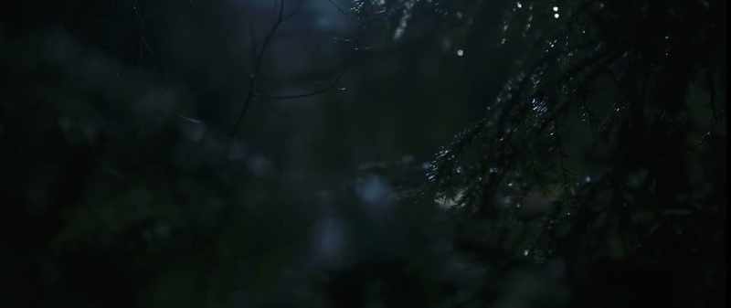 Evil spirits lurking in the swamps