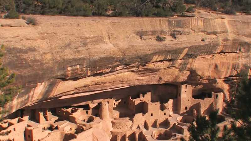 Evolving from nomadic wanderers