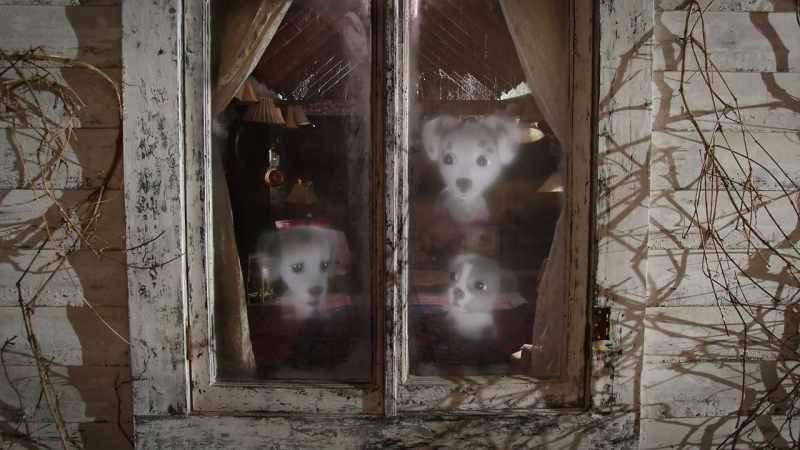 Except nobody wants to be friends with a ghost, remember?