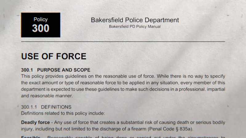 Excessive use of deadly force