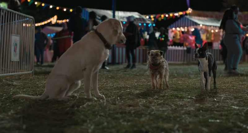 Excuse me. Do you know where we can get some food around here?