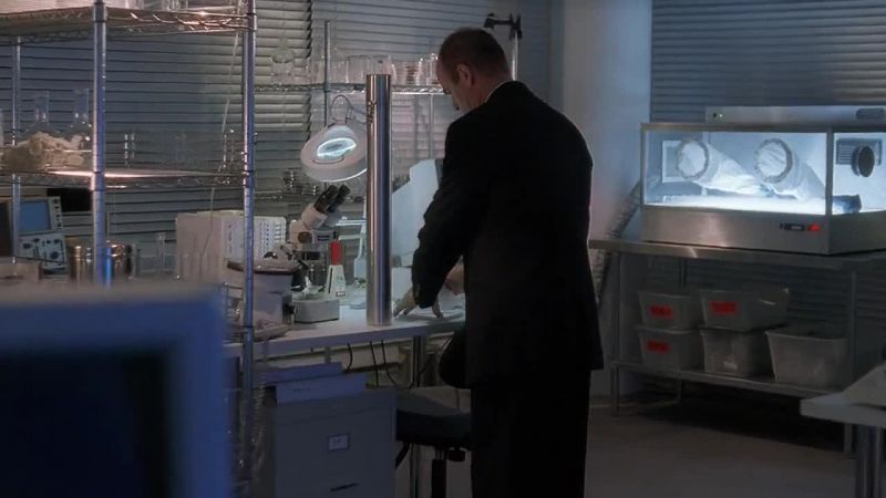 Excuse me. I'm looking for Dr Vitagliano