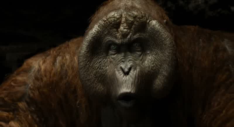 Excuse meAnybodyExcuse meam I in the right monkey templeOh my goshIs that King LouieThis is so excitingThe legends do you no justice sirYou are truly enormousIn the best wayLook at all of that