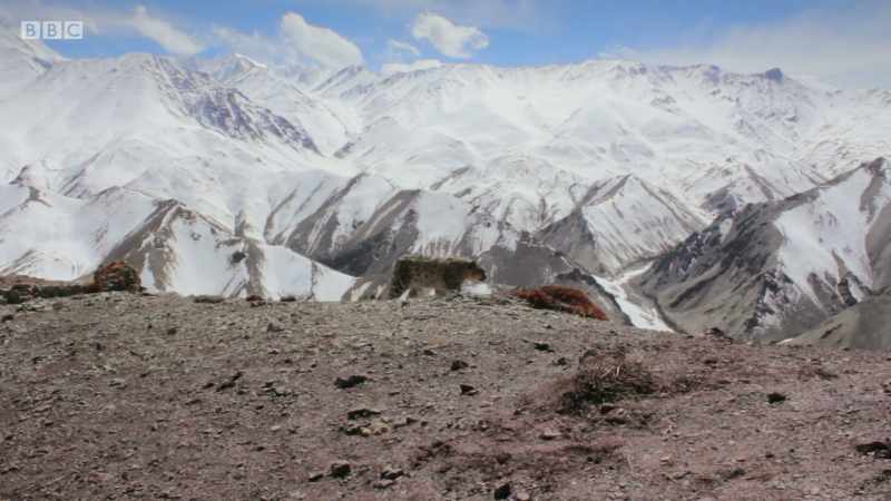 Existence in these unforgiving mountains