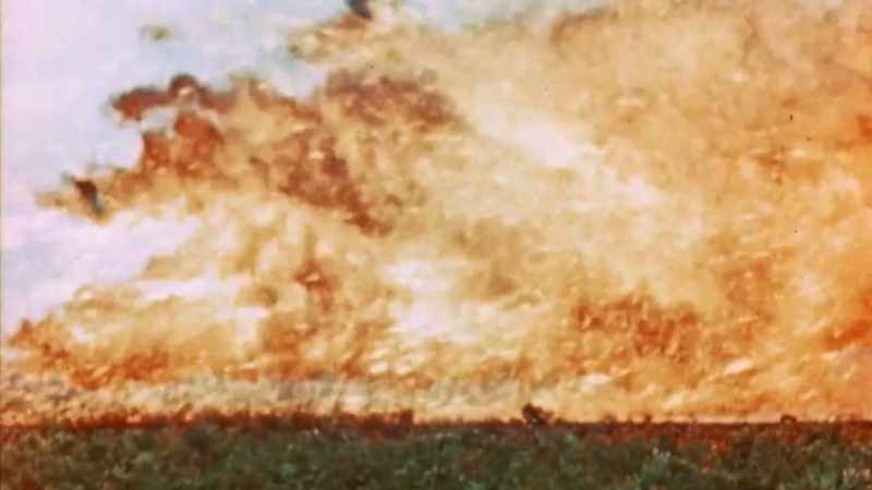 [EXPLOSION]