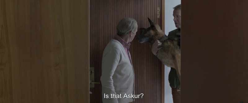 Eybjorg had a nervous breakdown, when we found him on our doorstep