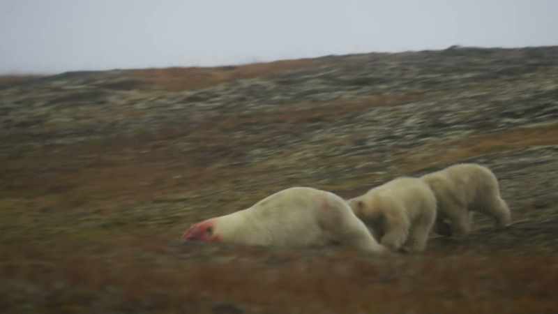 Faced with a mother's fury