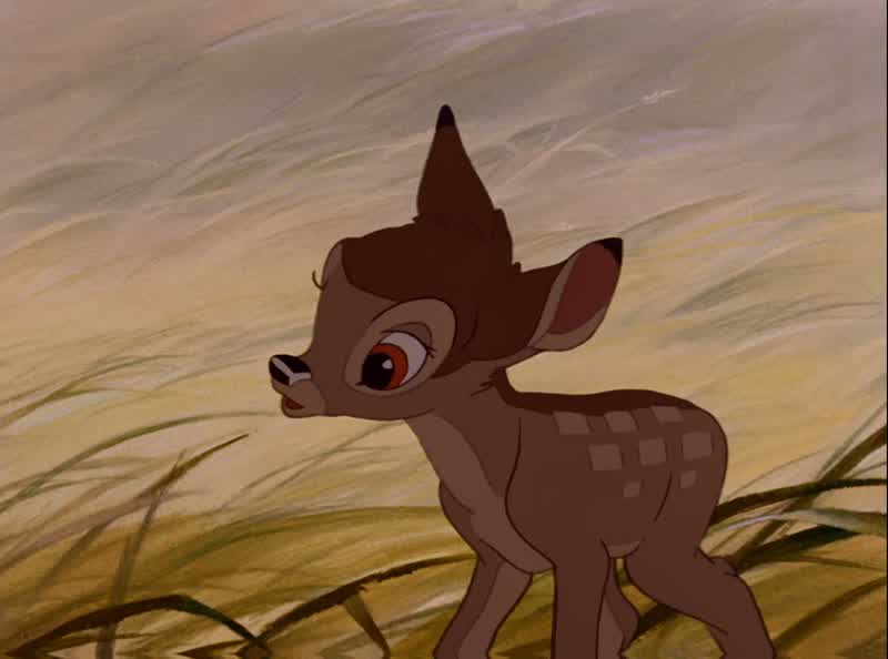 Faline
