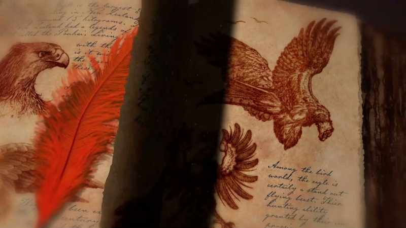 Fantastic beasts