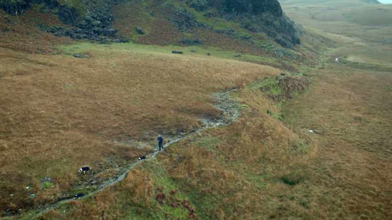 Farmer, David Harrison, looks after 1,100 mountain dwelling sheep
