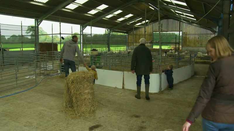 [Farmer Tom] Yeah, come! These ones here! Babies, baby lambs!