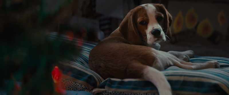 [farts and barks]