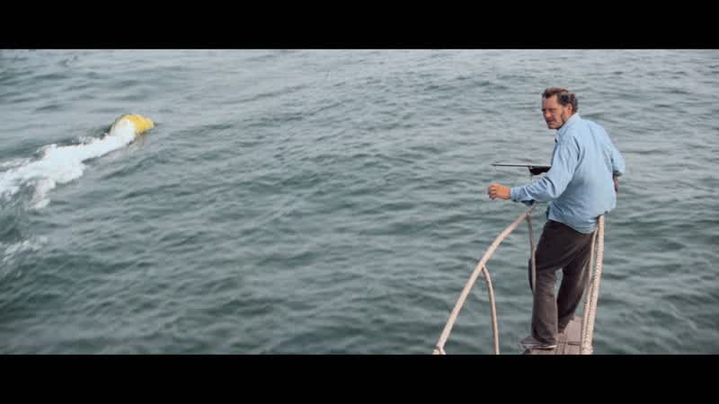 Fast fish