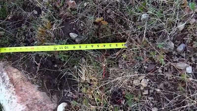 [father] Four and a half feet