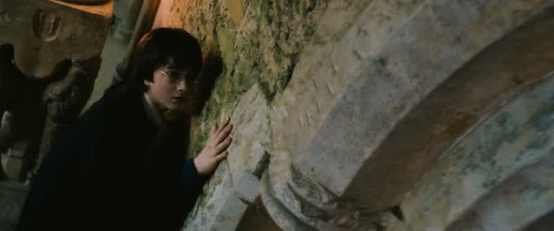 Fawkes is a phoenix, Harry