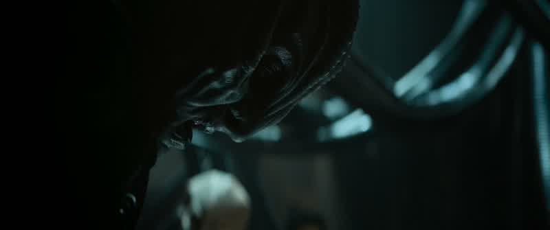 Federation has taught you that conflict should not existBut without struggleyou would never know who you truly are