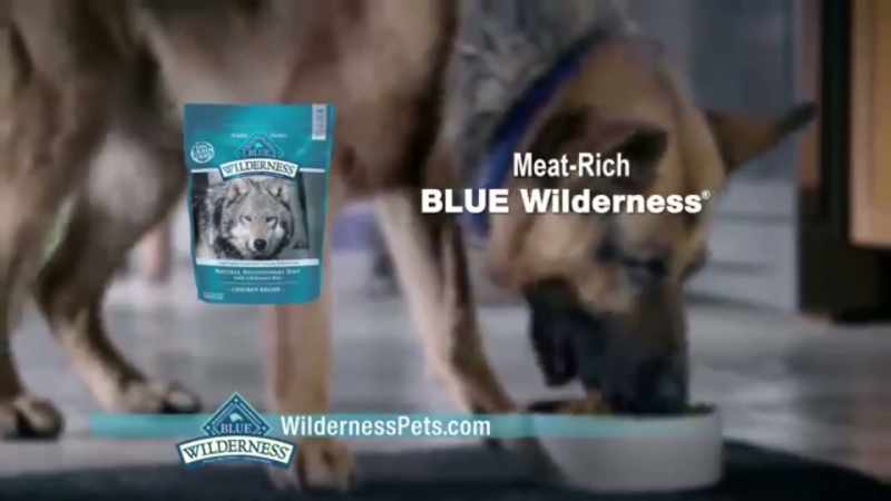 Feed your dog's wolf spirit