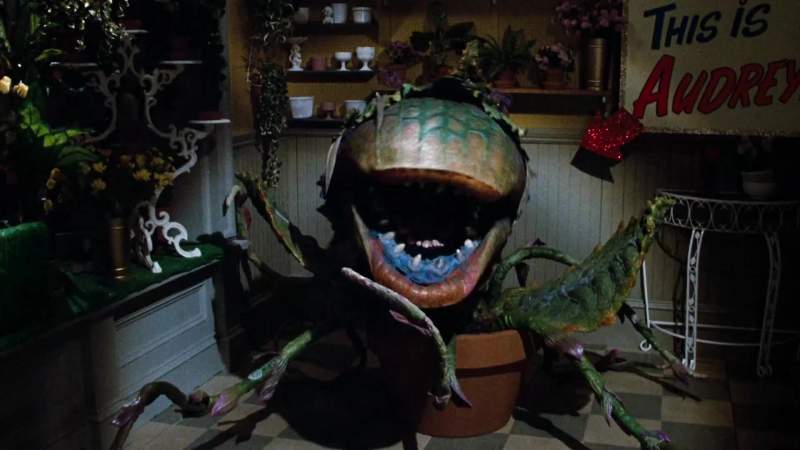 Feed me