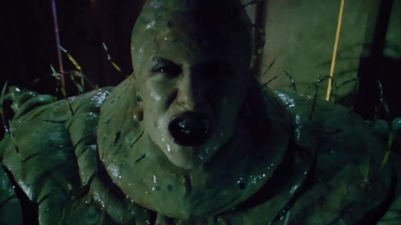 Feed me sean Feed me sean
