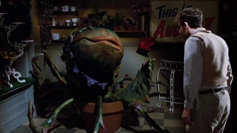 Feed me Seymour