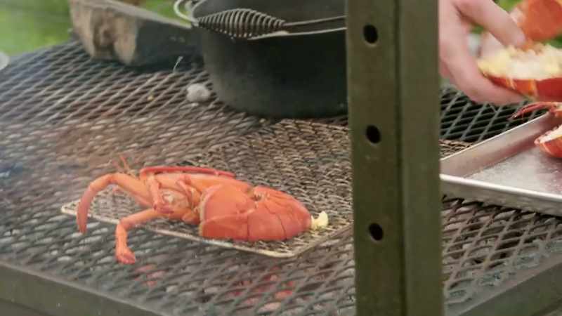 Feels great. Grilled lobster time