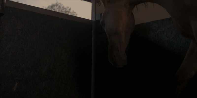 [Feet stomping, horses neighing]