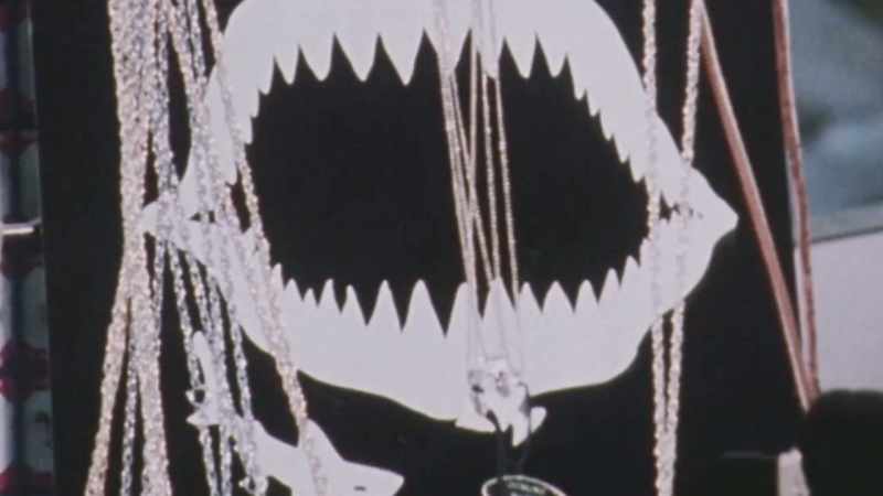 FEMALE VOICE: We have the fresh teeth that have been pulled out