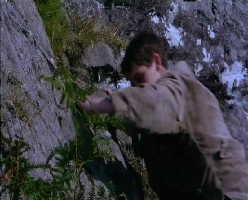Fergus, come back. Fergus!