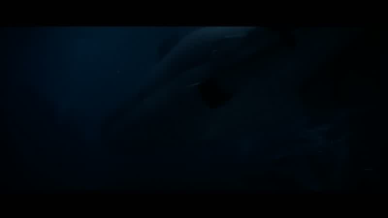 Fifteen seconds to turn, captain