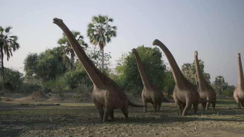 Fifty-foot-long rapetosaurs