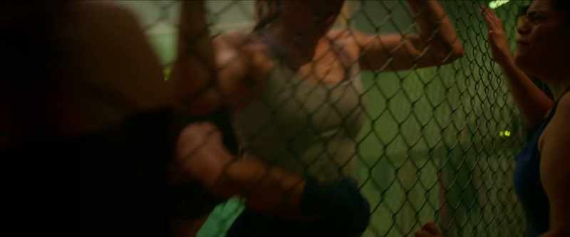 Fight, fight!