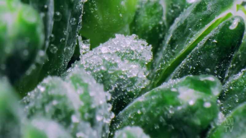 Figuring out how to freeze food and keep it frozen
