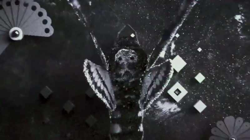Filmmaker: Cicada's unique formula