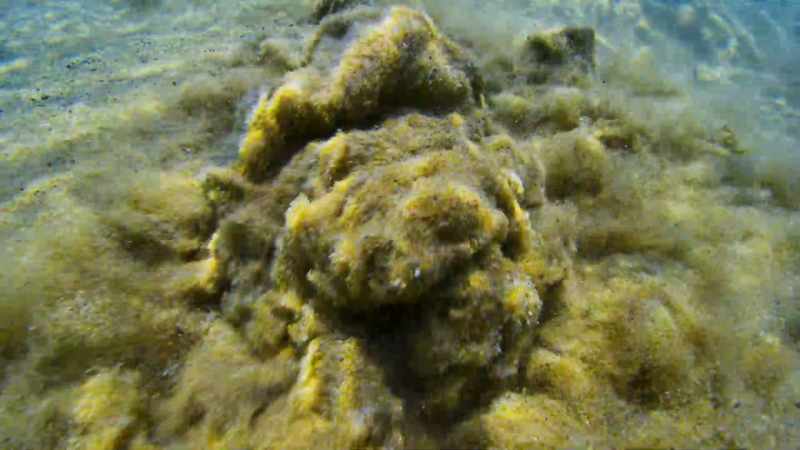 Filtered through limestone, they create crystal-clear pools