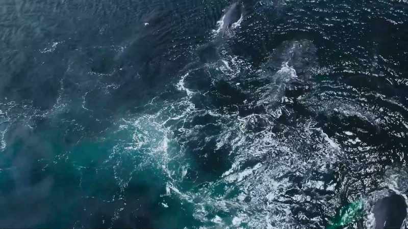 Finally, five weeks after leaving Antarctica