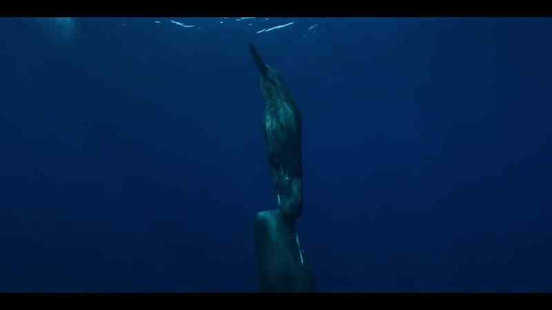 Finally, full of squid, Mom returns