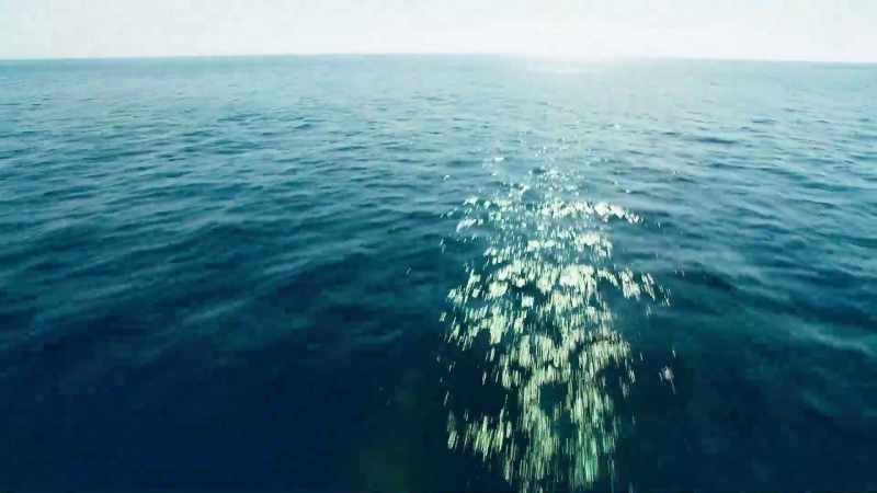 Finally, after ten days on the open ocean