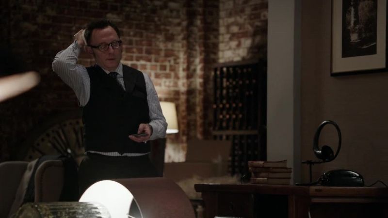Finch. - Mr. Reese