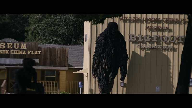 Finding Bigfoot