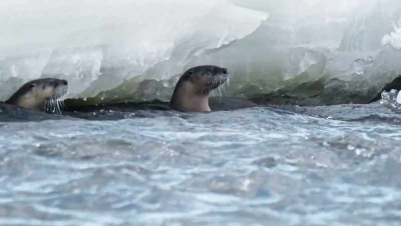 Finding confidence in this sheltered cove