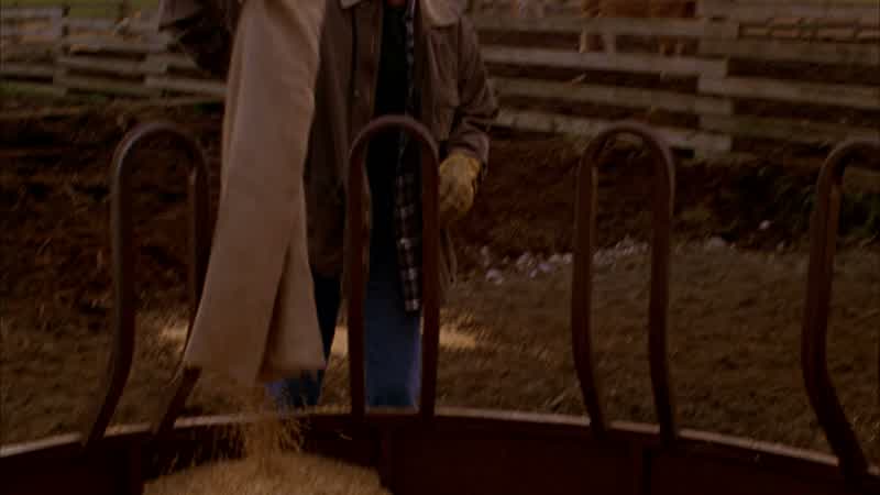 Finished with the hay