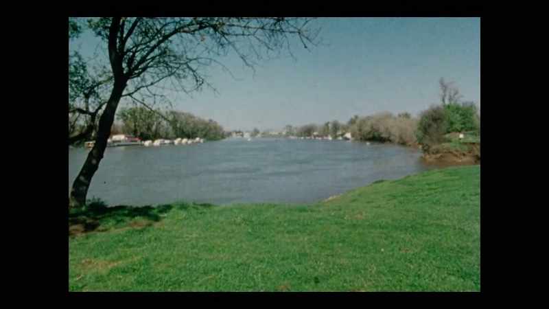 FIONA WILLIAMS: We have the confluence