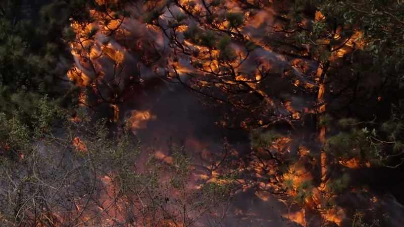 (fire crackles)