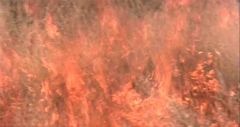 (fire crackling)